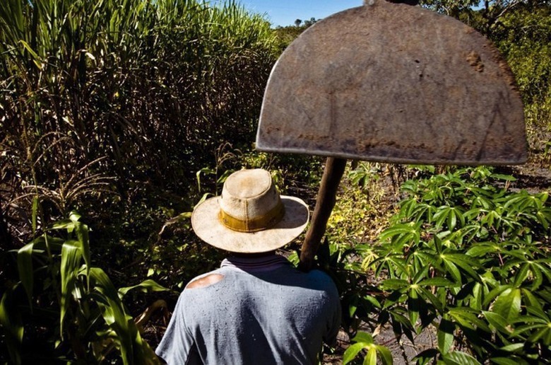 25  de julho: Dia do Agricultor/a e Trabalhador/a Rural  Celebração e reflexão sobre conquistas e desafios