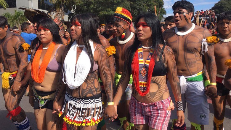 Resistência Indígena no Cerrado Brasileiro