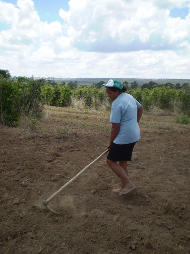 Direitos e fortalecimento da organização são conquistas celebradas no dia do Trabalhador Rural 