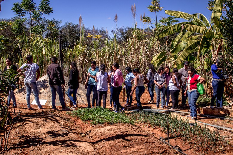 Intercâmbio de agricultores fortalece a importância de alimentos saudáveis e livres de agrotóxicos