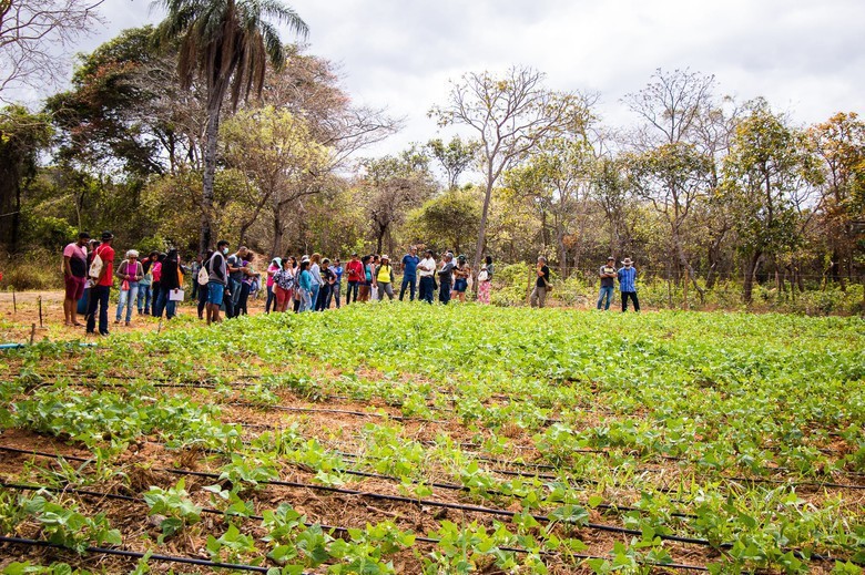 Agricultoras e Agricultores de Minas Gerais, Mato Grosso e Pará se encontram e vivenciam experiências em Intercâmbio promovido pelas instituições CAA/NM e FASE MT.