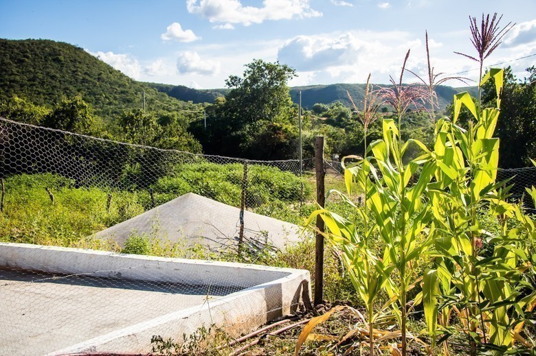 O acesso à ÁGUA💦 para as famílias é a única forma de existirem e produzirem seus alimentos🥗