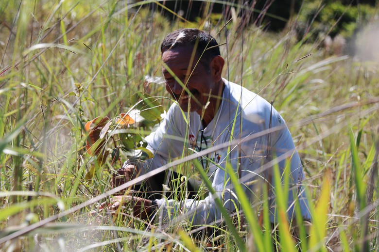 Curso de Restauração de Áreas Degradadas no Cerrado